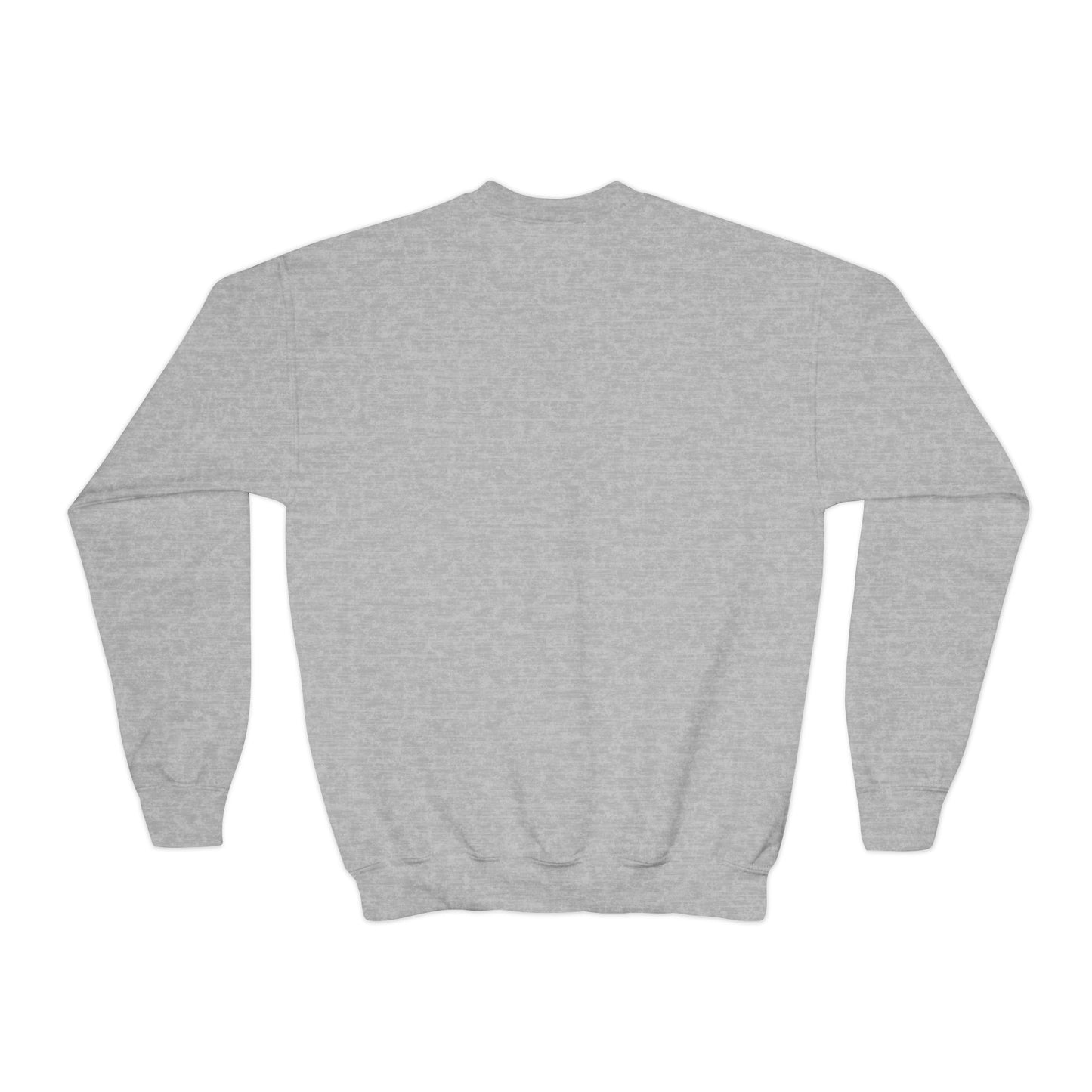 100.7 The Tiger Youth Crewneck Sweatshirt