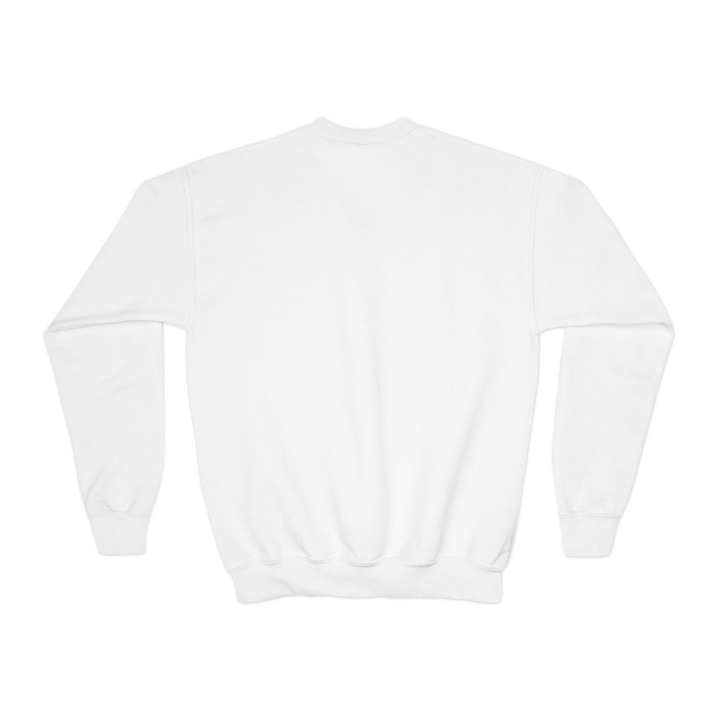 100.7 The Tiger Youth Crewneck Sweatshirt